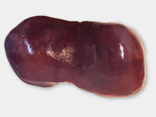 Runderlever